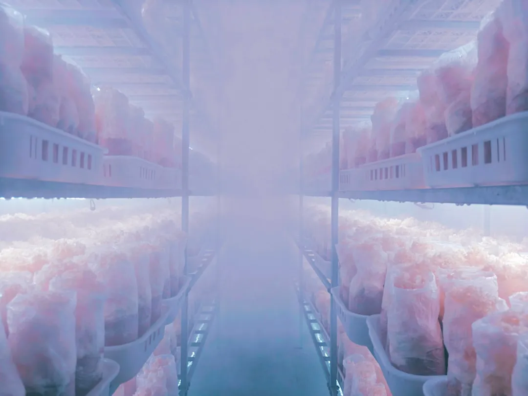 长三角速食供应链升级:螺蛳粉与酸辣粉的流通环节品控方案正文配图 2